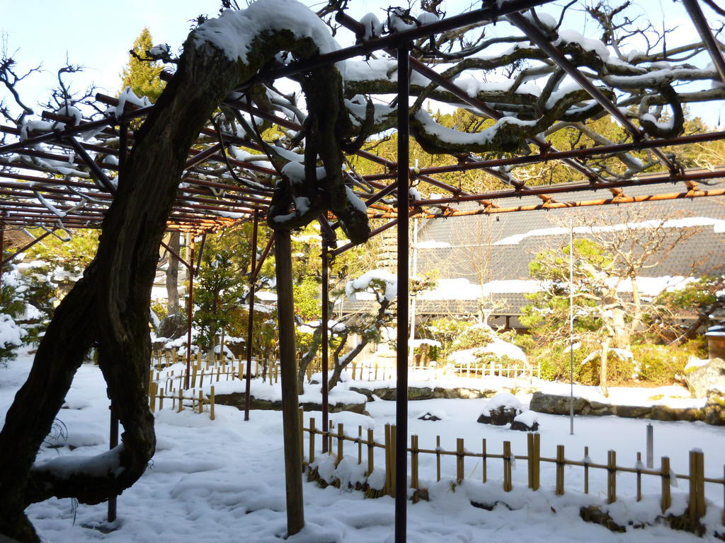 高野山 宿坊 熊谷寺 -Koyasan Shukubo Kumagaiji- Wakayama Zewnętrze zdjęcie